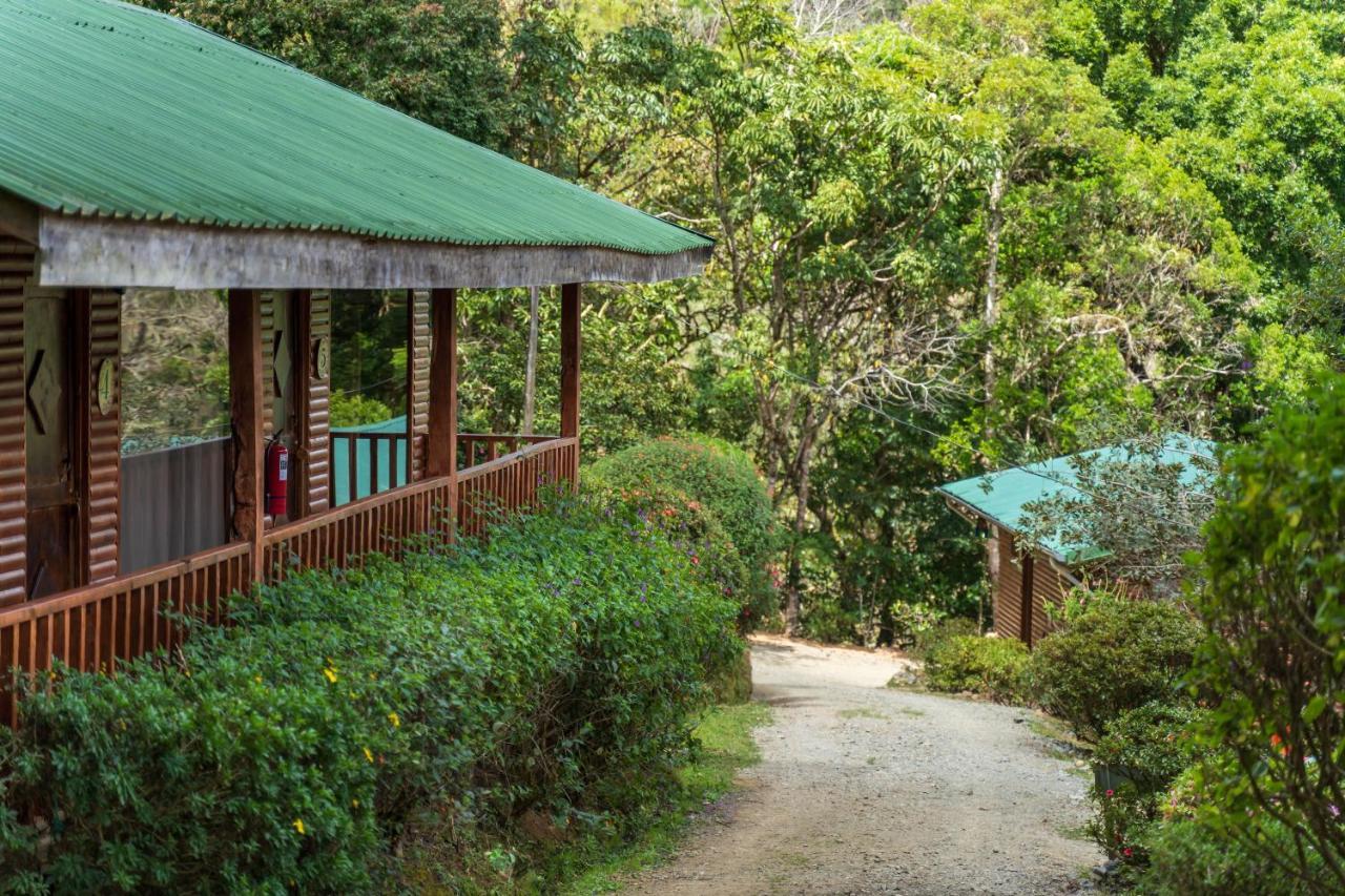 Cedrela Eco-Lodge & Restaurante Copey 外观 照片