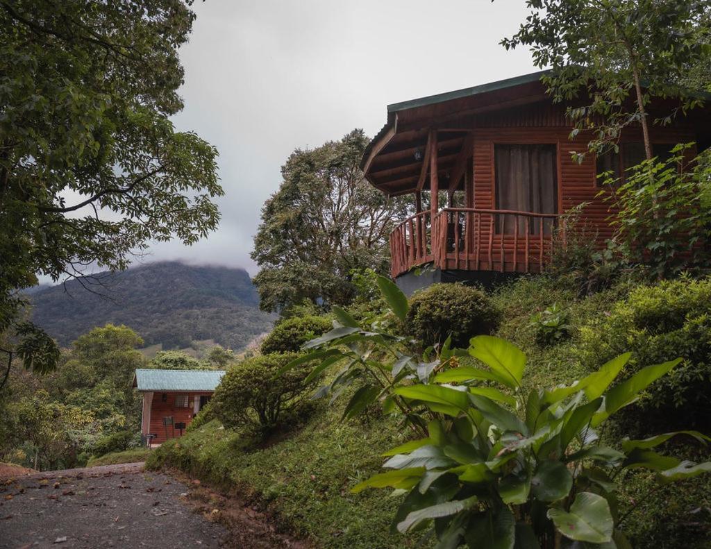 Cedrela Eco-Lodge & Restaurante Copey 外观 照片