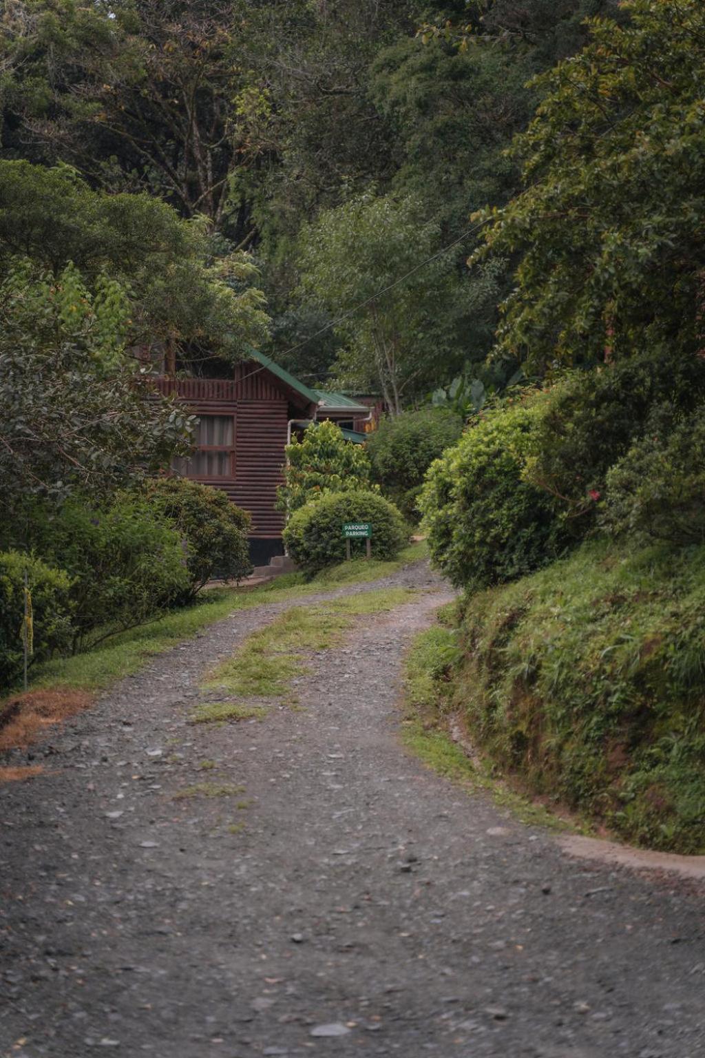 Cedrela Eco-Lodge & Restaurante Copey 外观 照片