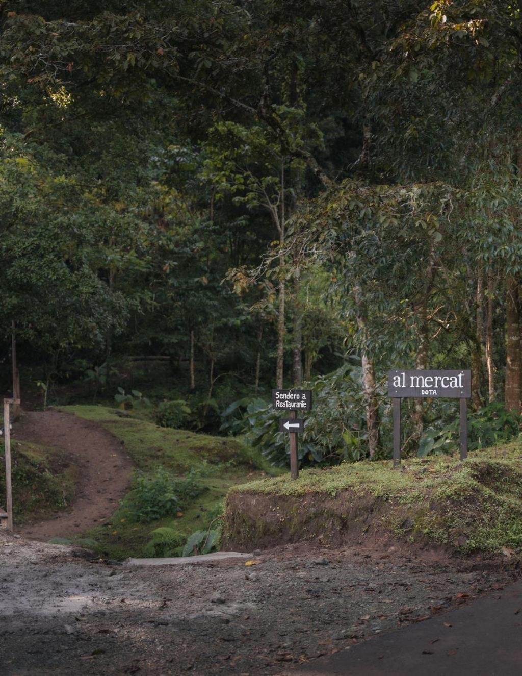 Cedrela Eco-Lodge & Restaurante Copey 外观 照片