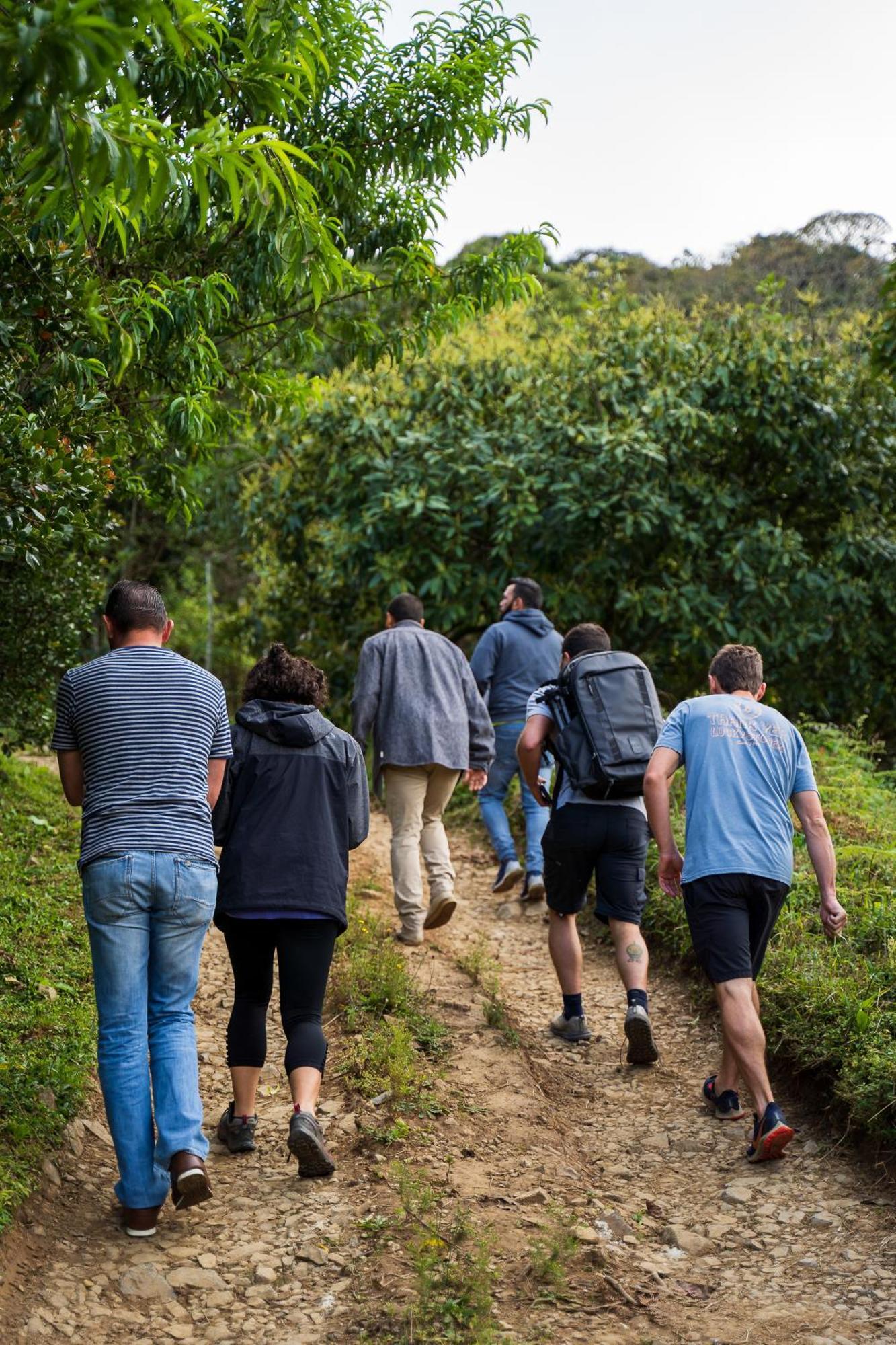 Cedrela Eco-Lodge & Restaurante Copey 外观 照片