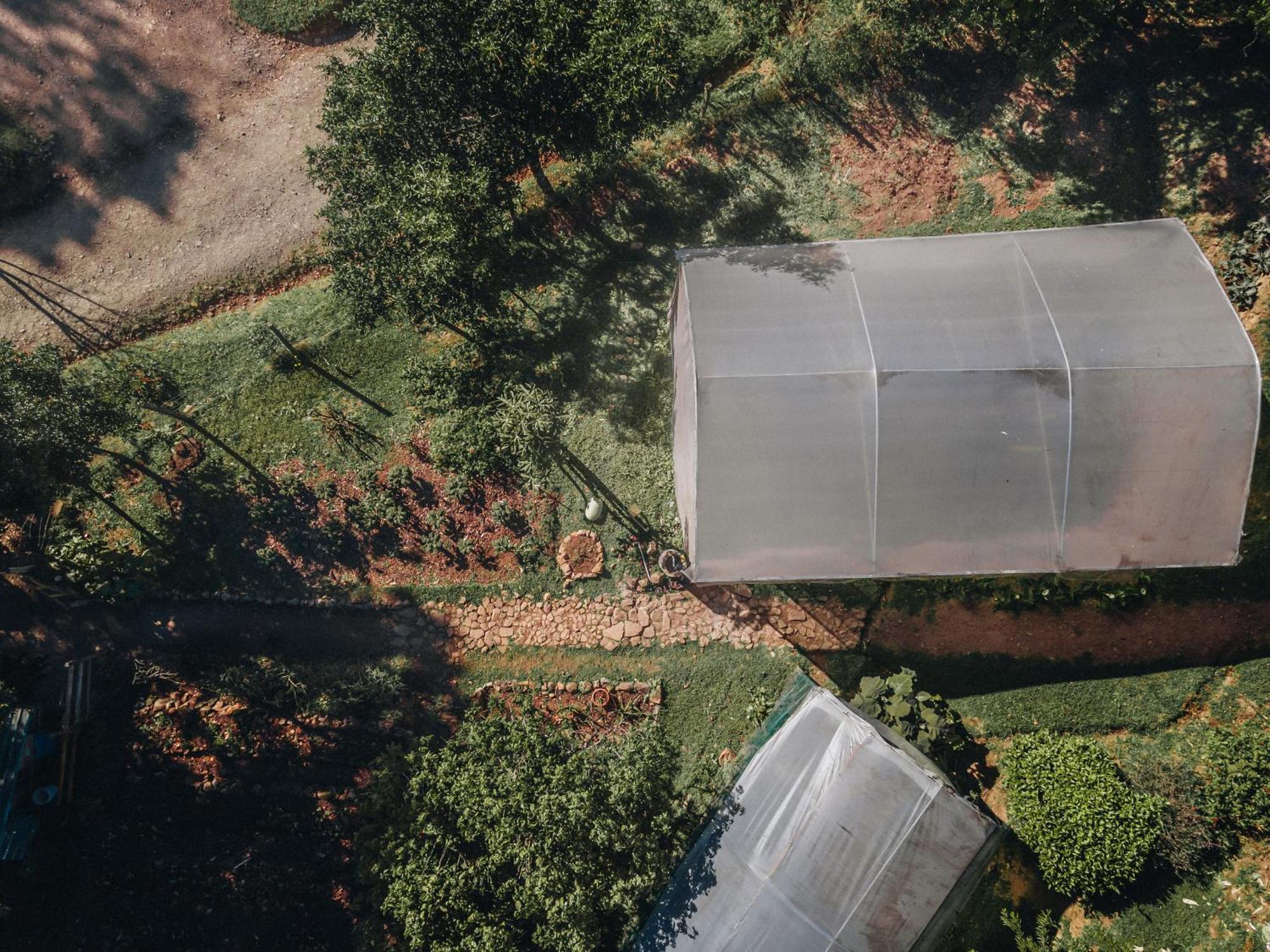 Cedrela Eco-Lodge & Restaurante Copey 外观 照片