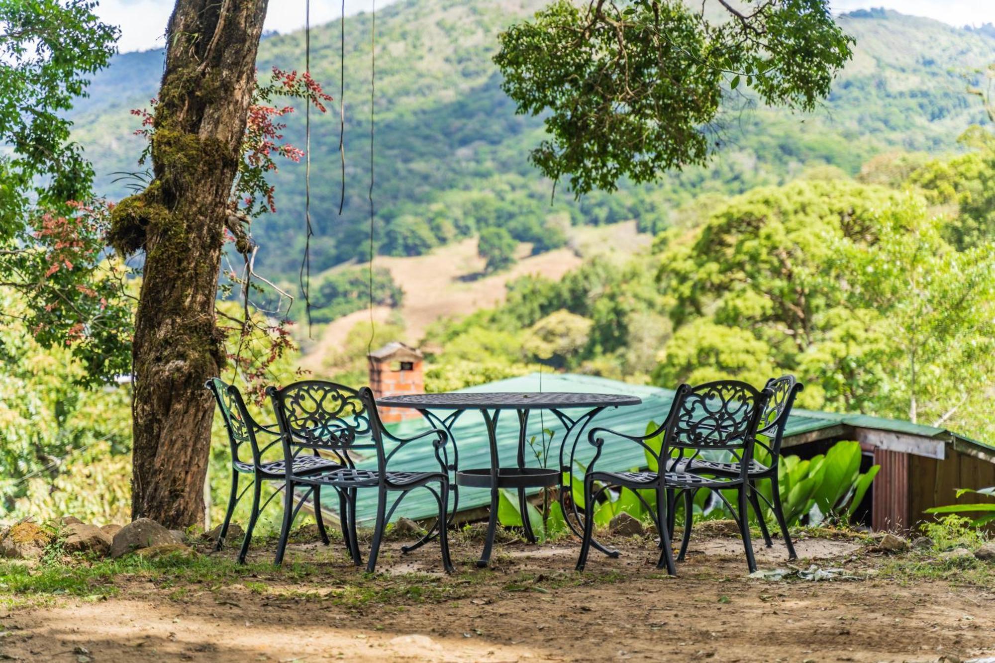Cedrela Eco-Lodge & Restaurante Copey 外观 照片