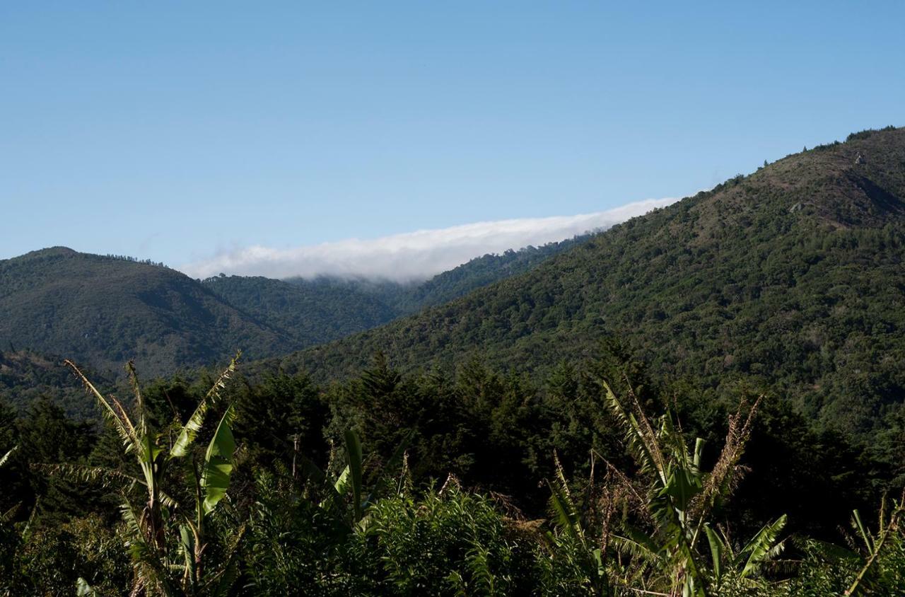 Cedrela Eco-Lodge & Restaurante Copey 外观 照片