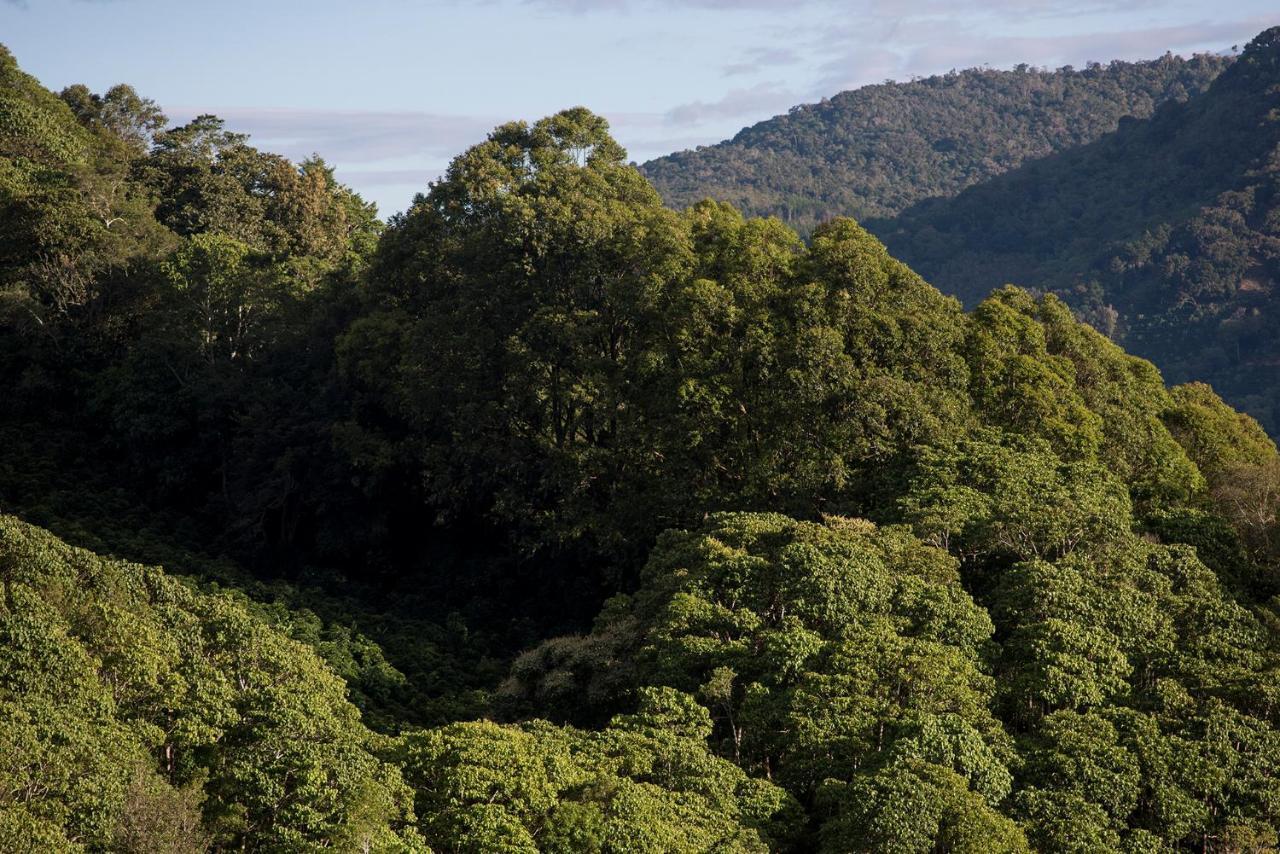 Cedrela Eco-Lodge & Restaurante Copey 外观 照片